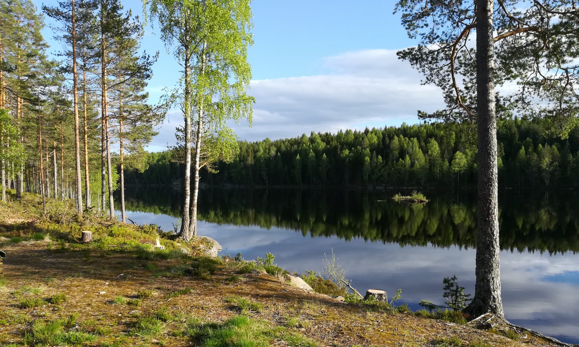 Skogbygda Utmarkslag